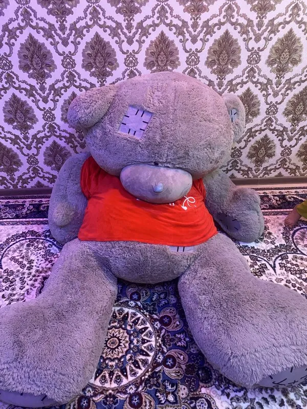 Ayqicha teddy buyi 2,2 metr