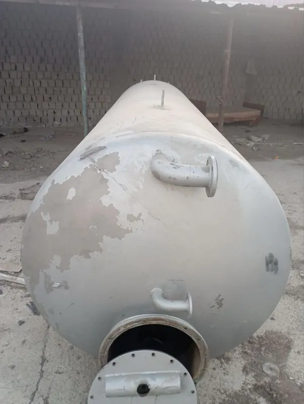 Yokis bor nirjivika 6