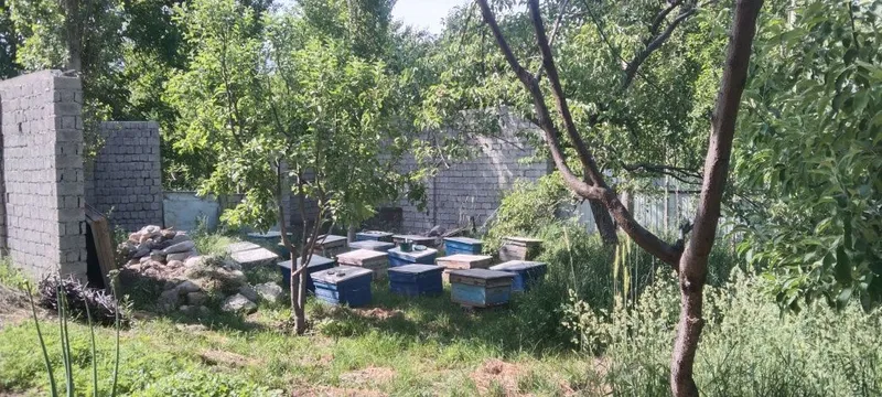 Продам срочно участок в ЧарвакБурчмулла — фото 4