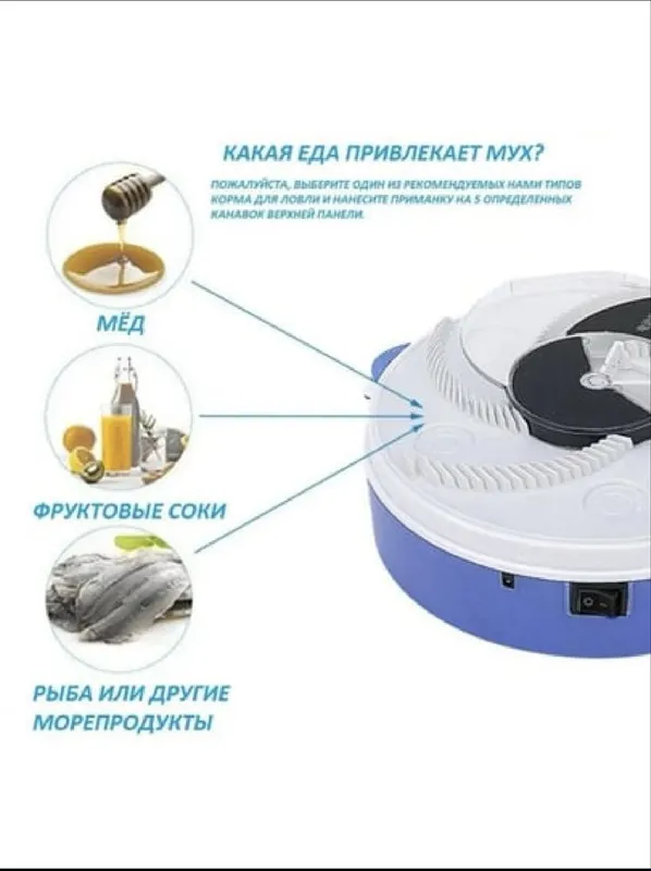 Мухоловка от мух — фото 4 Мухоловка от мух — фото 4