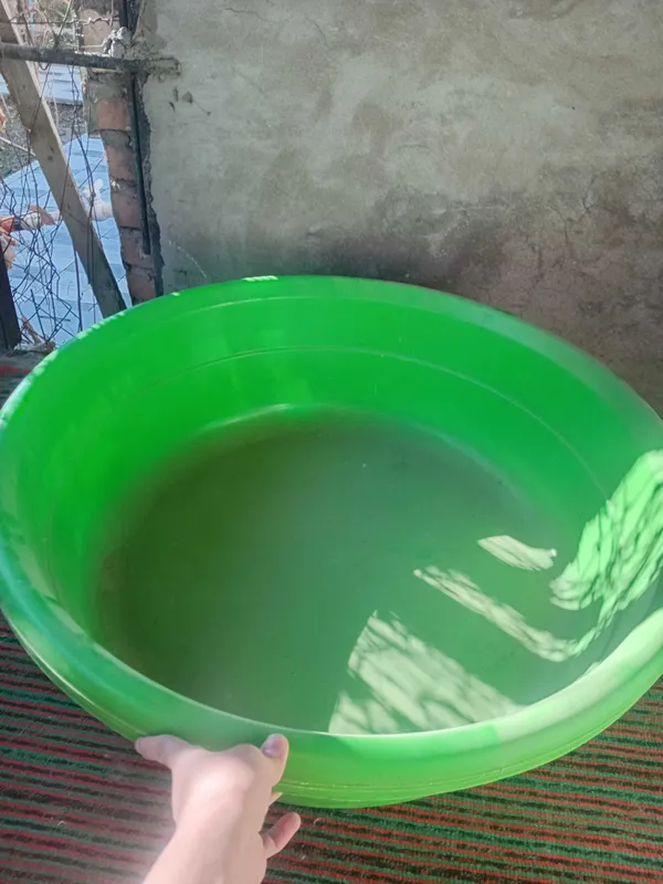 Kota 50 litrli togorala sotiladi Kota 50 litrli togorala sotiladi