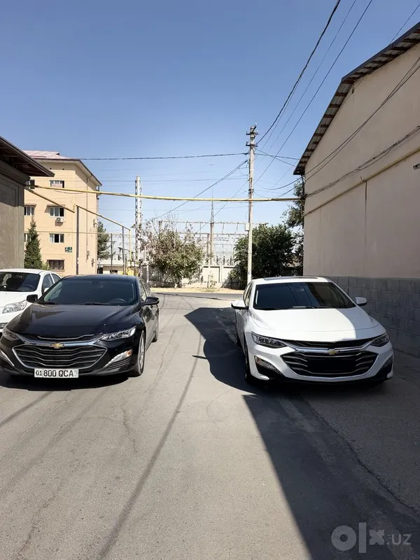 Malibu Premer 2022 yil 2 Malibu Premer 2022 yil 2