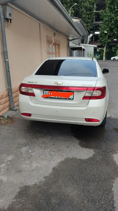 Epic holati yaxshi parpan gazi bor 5 Epic holati yaxshi parpan gazi bor 5
