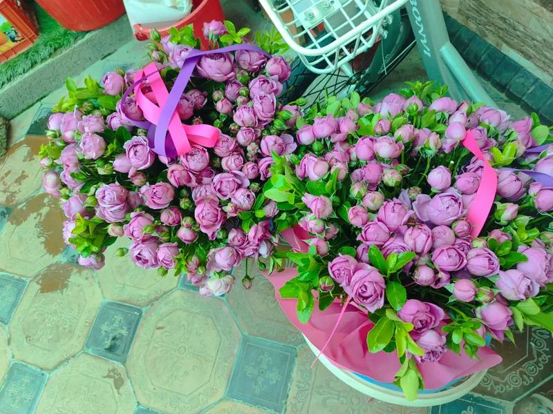 gul. цветы срочно продам — фото 1