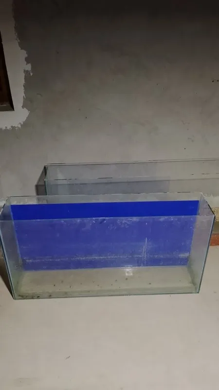 Akvarumlar 4ta birxil 1 Akvarumlar 4ta birxil 1