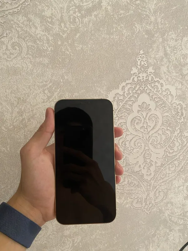 iphone 12 pro max холати идеал 1