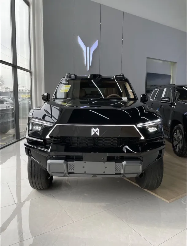 Dongfeng M hero 817
