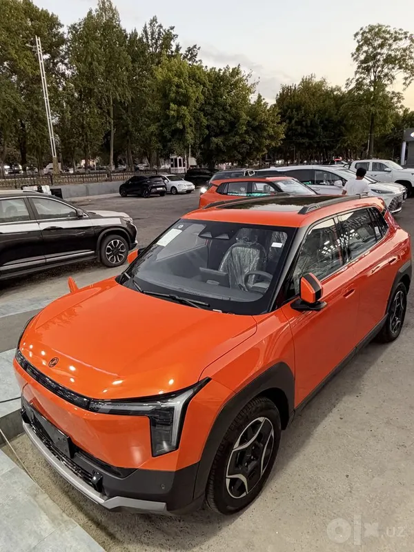Dongfeng Nammi 06 Ultra 471 ev 1 Dongfeng Nammi 06 Ultra 471 ev 1
