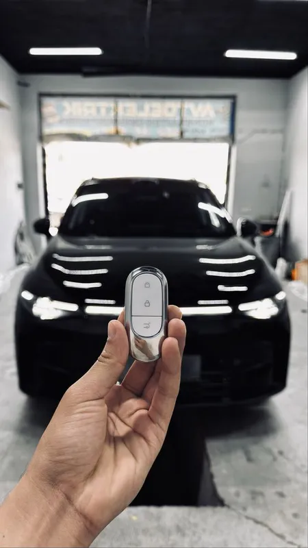 Leapmotor pult ustanovka