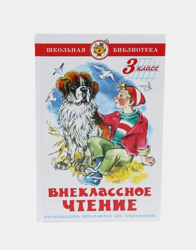 Доставка. Внеклассное чтение 1,2,3,4,5 класс Россия — фото 3