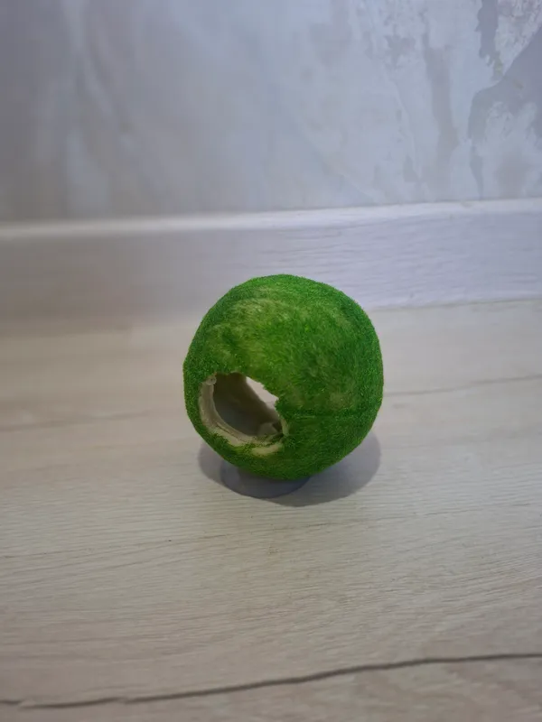 Домик для рыбок. Baliqlar uchun uya. Домик для рыбок. Baliqlar uchun uya.