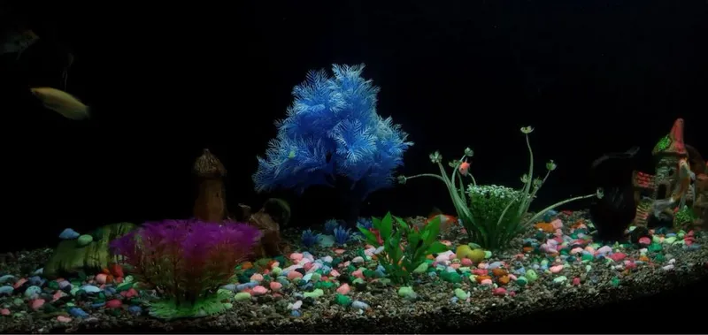Akvarium 500litr 2