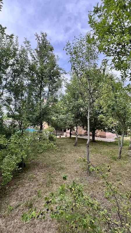 Дача тапчан басейн 9 Дача тапчан басейн 9
