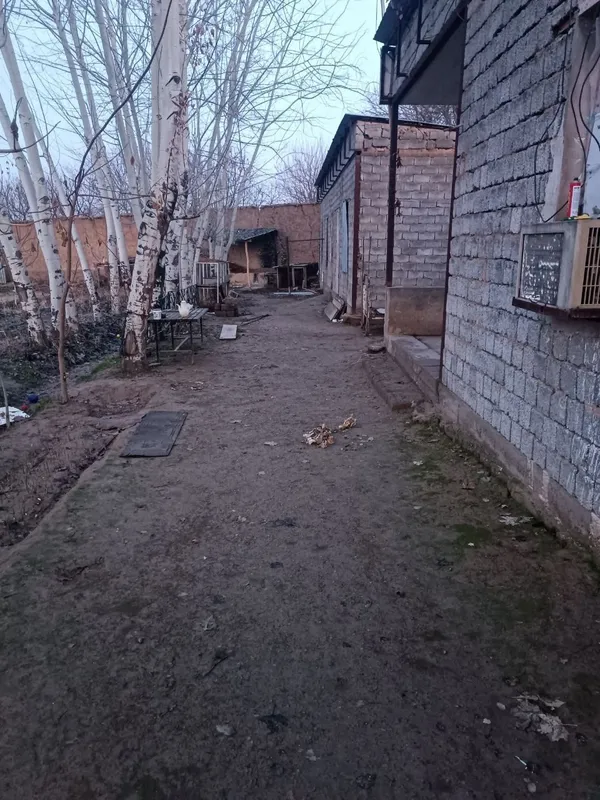 Ер, уй ижарага берилади — фото 1