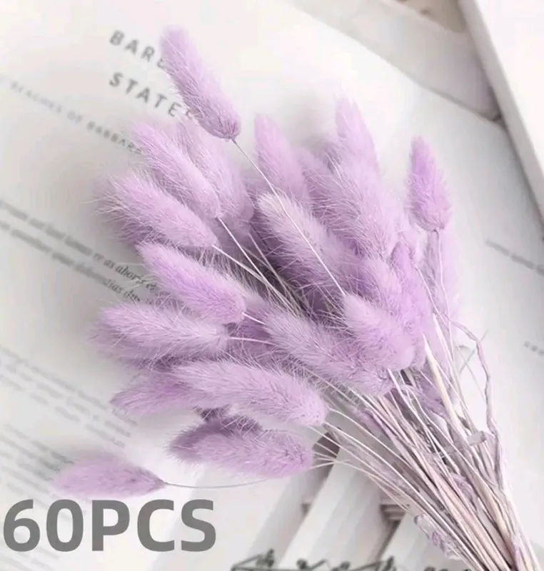 натуральные сухоцветы — фото 1