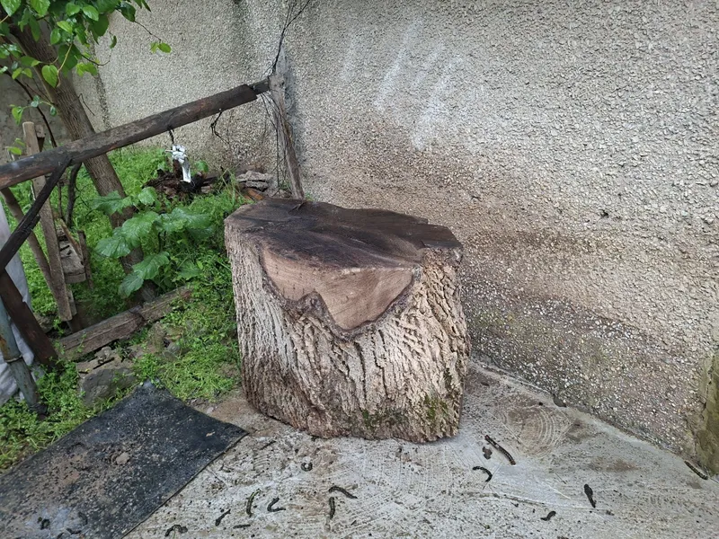 Енгок кунда зур таййор кассоблага гушт тунка — фото 2
