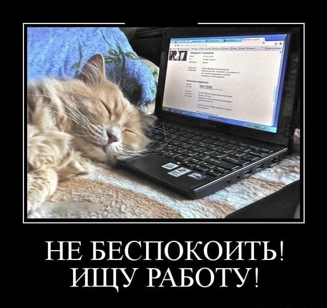 ищу работу ищу работу