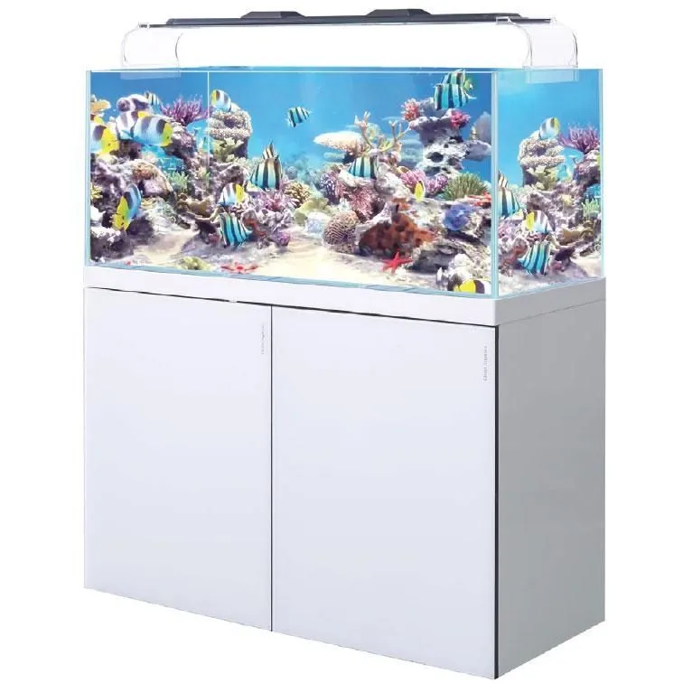 Dengiz akvariumi sotaman,морской аквариум 1 Dengiz akvariumi sotaman,морской аквариум 1