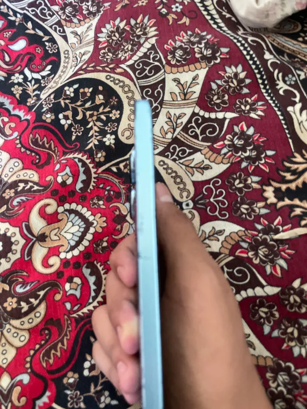 256 ga 8 zaryatchi qushberama 4