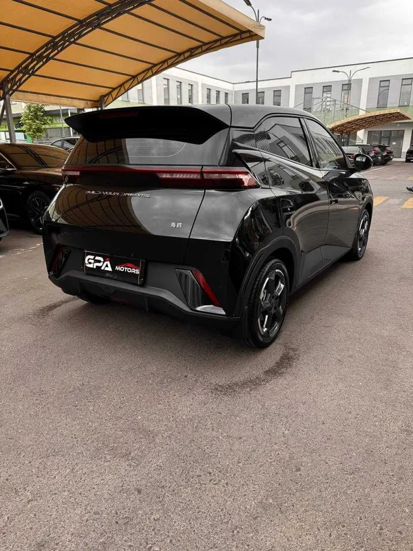 BYD SEAGULL FULL 2023й краска тозза — фото 1