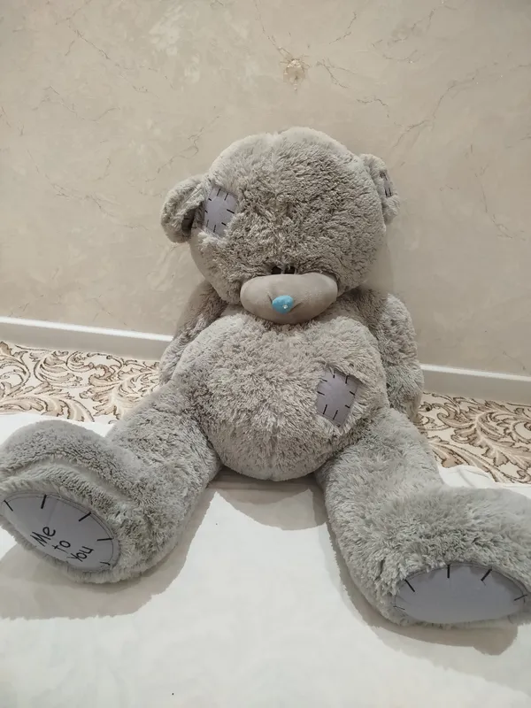 Teddy