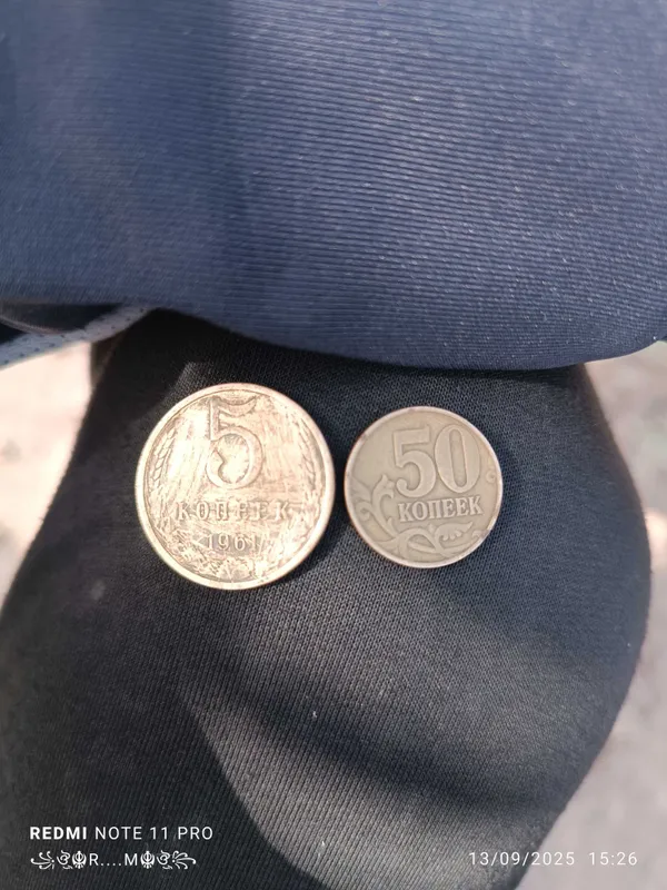 Tanga TangaTangaTangaTangaTangaTangaTanga