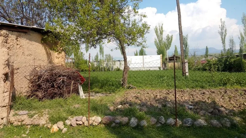 участок с кодастром