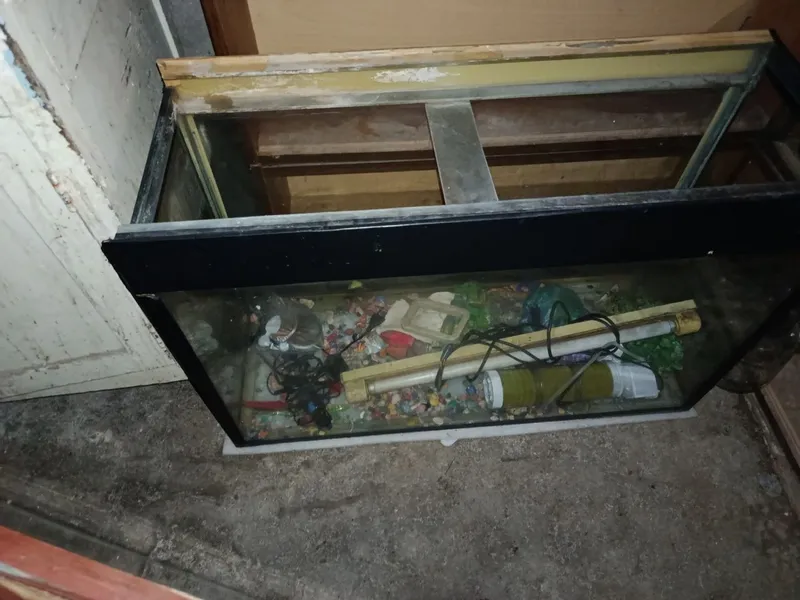 Аквариум со всеми удобствами — фото 2