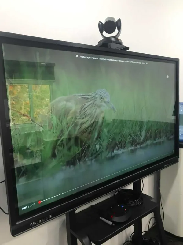Удар по ценам! Интерактивные доски 65", 75", 86"