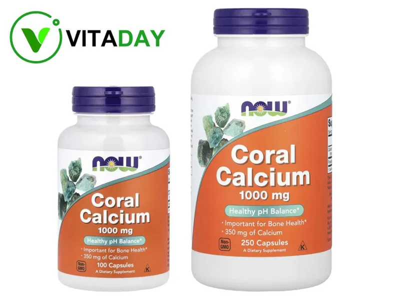 NOW Foods Coral Calcium кальций из кораллов kalsiy калций NOW Foods Coral Calcium кальций из кораллов kalsiy калций