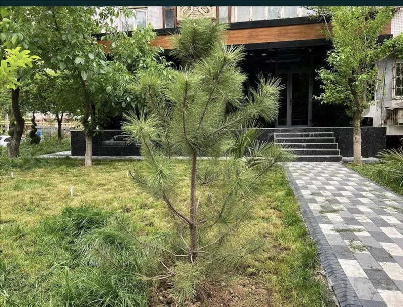 Yakkasaroyda 70 m²lik bino ijarasi · ID 43333 7