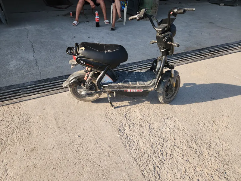 Sukuutr gold hamm joyi zor olasz haydisz — фото 1