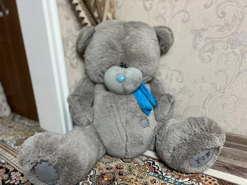 Teddy ayiq