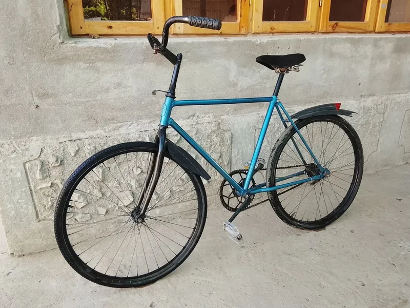 Arliyonik, razmeri 24