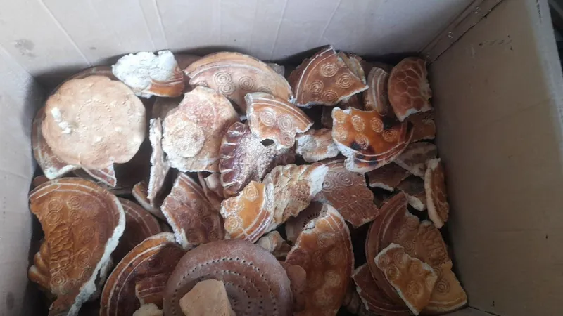 Maydalangan non yemga qoʻshgani vahayvonlarga yaxshi ozuqa — фото 5