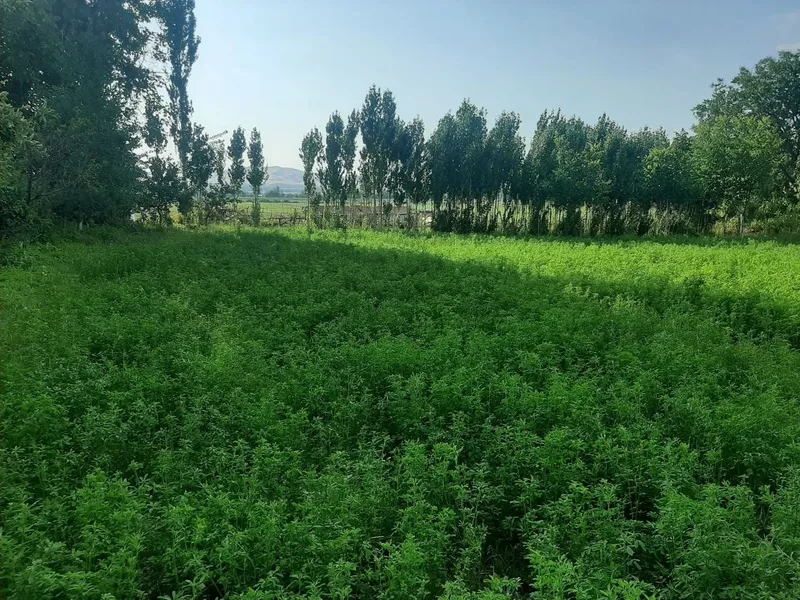Продаётся Участок 10 сотих
