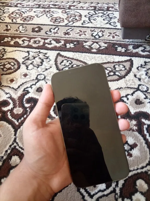 iphone 13 pro max 1тб 1 iphone 13 pro max 1тб 1