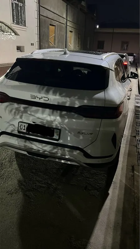 Byd champion Ev 2024 3
