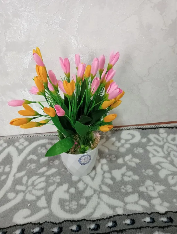 Продаются цветы лола 1