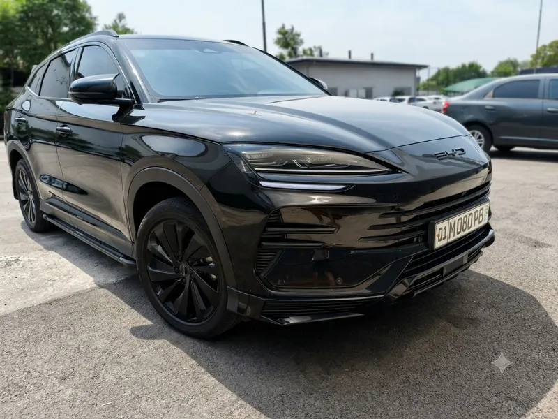 BYD song plus DMi (champion) — фото 2