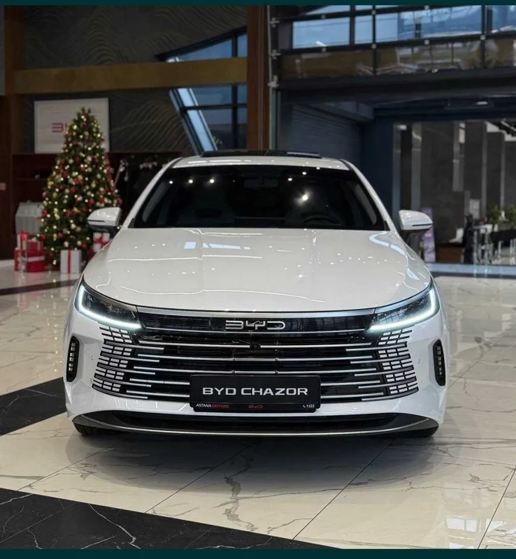 Chazor Byd chazor Luxe 55-km - BirBir