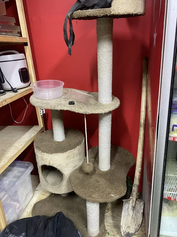 Кошачий домик mushuklarga uy