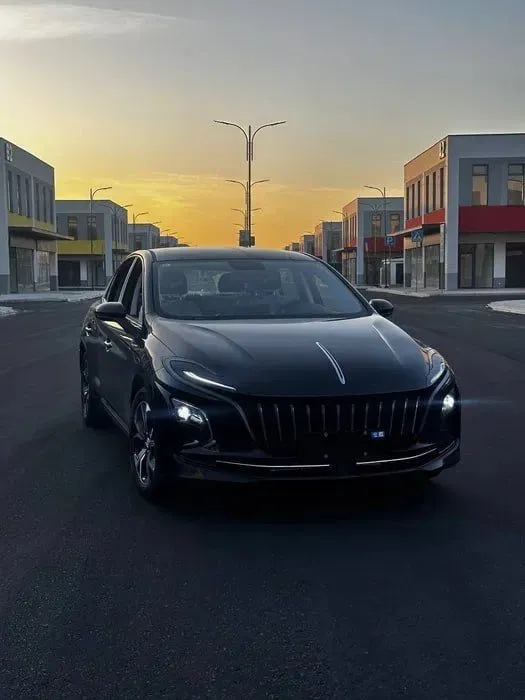 Hongqie E-QM5 500km 3