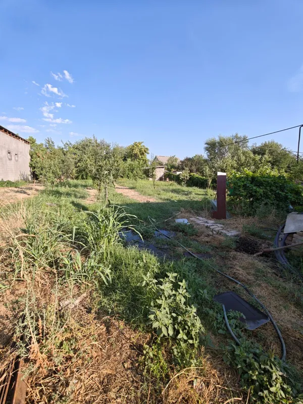 Продам дачный участок 6 соток между Тойтепа и Пскентом 3 Продам дачный участок 6 соток между Тойтепа и Пскентом 3
