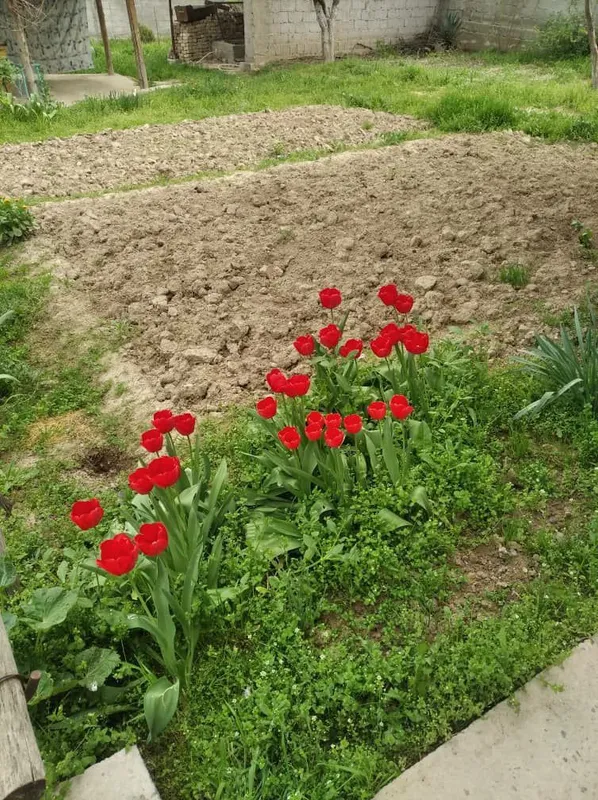 Продаётся приватизированная дача — фото 2