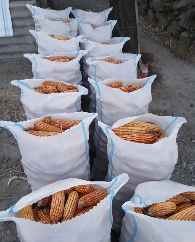 Juhori soʻtasi bilan 4 Juhori soʻtasi bilan 4