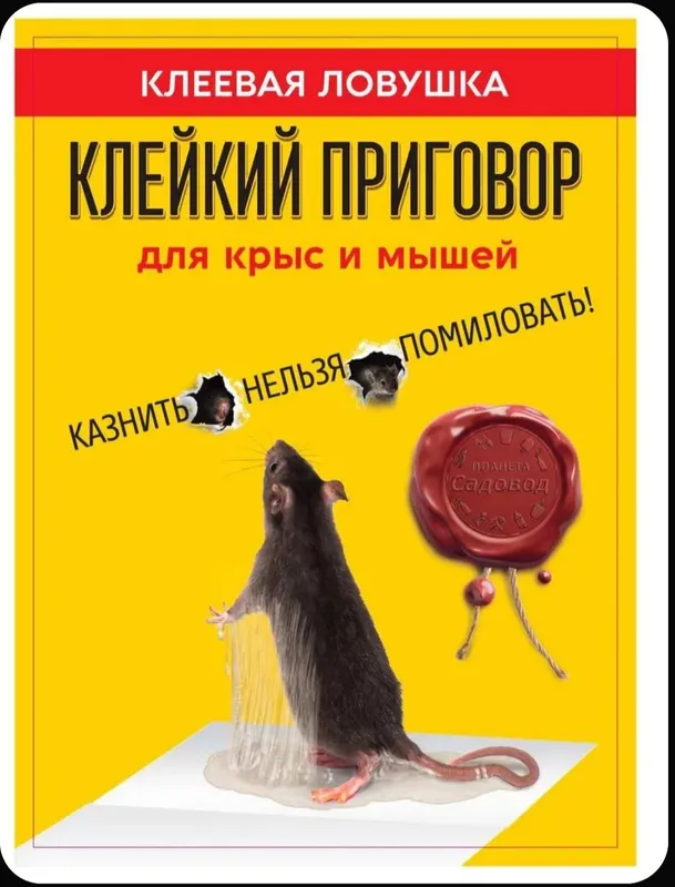Клеевая ловушка для крыс и мышей — фото 6