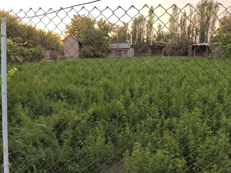 Уй сотилади, 28 сотук — фото 4