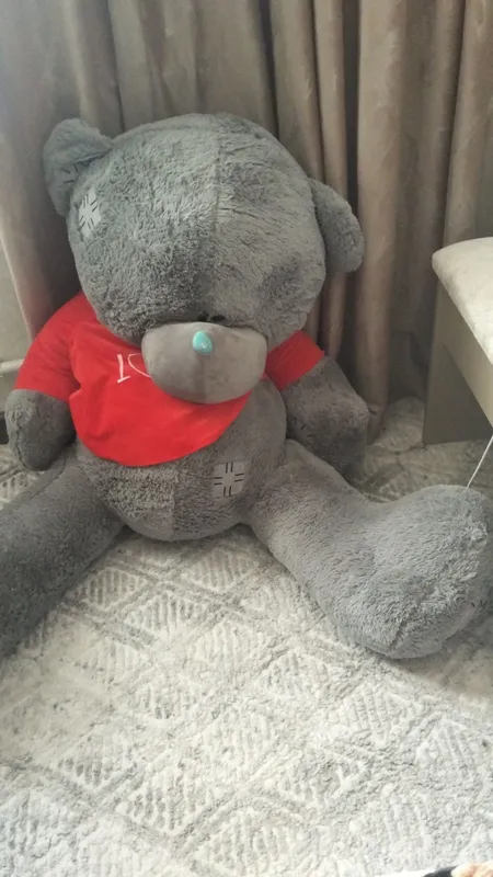 Teddy ayiq katta Teddy ayiq katta