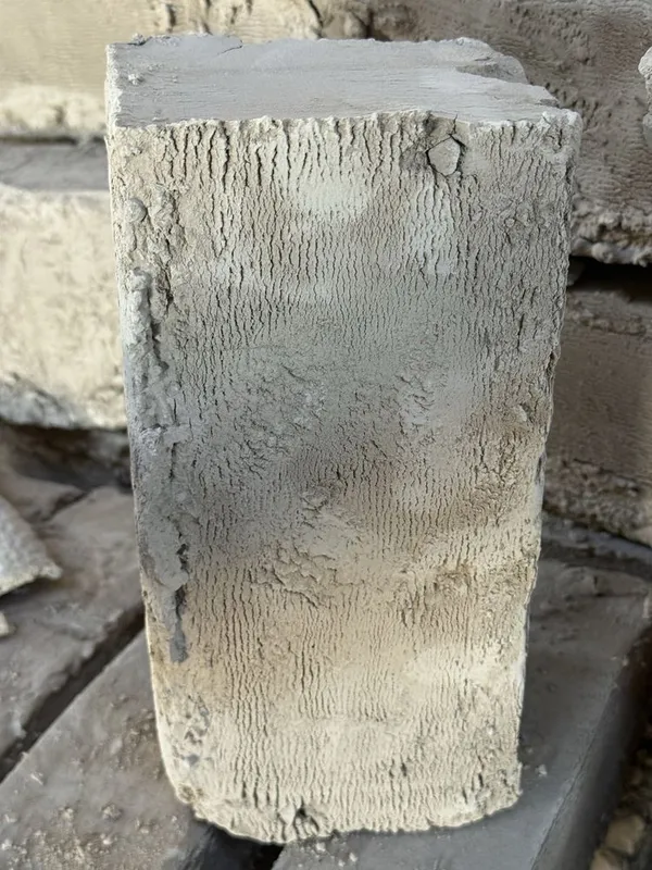 Xom gisht paltara — фото 1